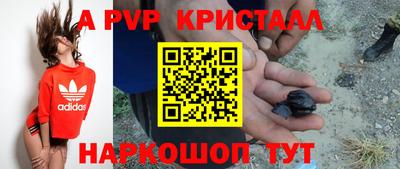стафф Будённовск