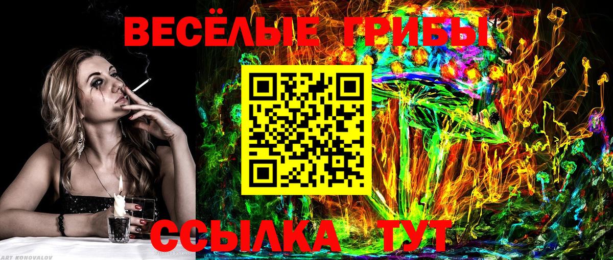 Псилоцибиновые грибы MAGIC MUSHROOMS Петропавловск-Камчатский