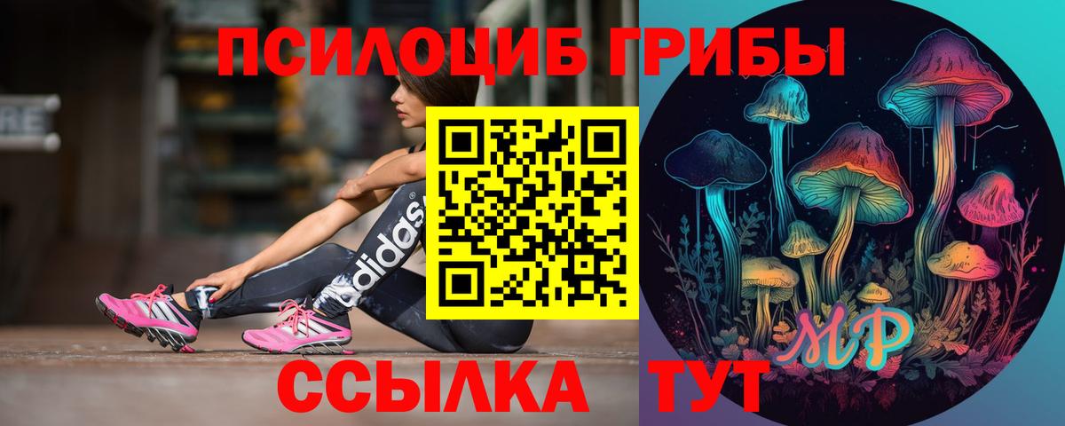Петропавловск-Камчатский  Галлюциногенные грибы мухоморы  Вход с VPN 